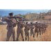 Фуражка Пограничных Войск КГБ СССР, обр. 1954 г.